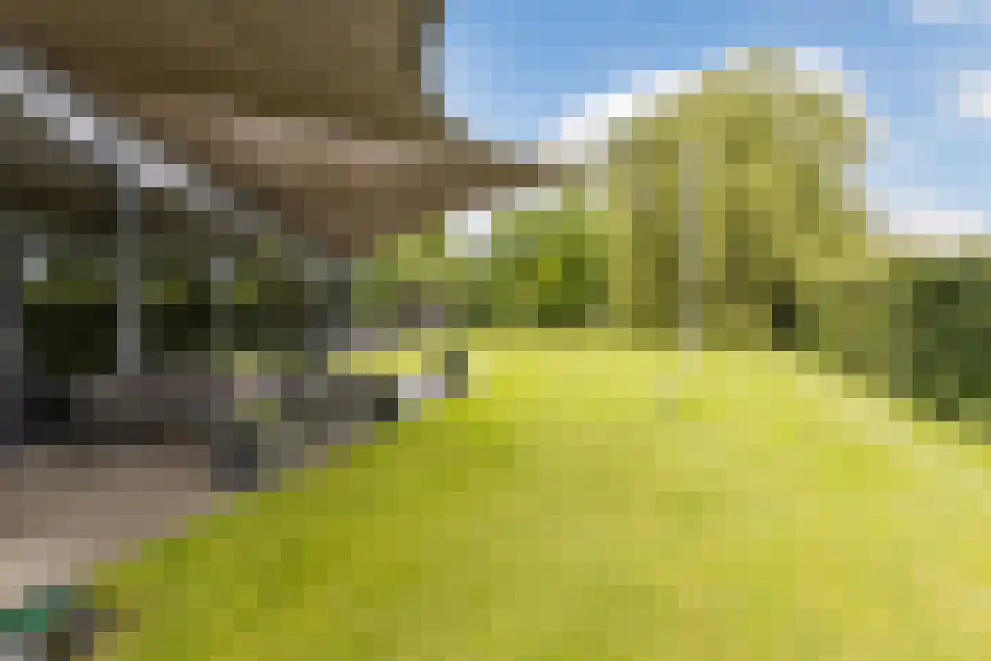 Zevenhuizen 6 Leende thumbnail 29