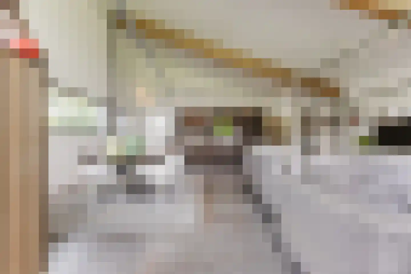 Zevenhuizen 6 Leende thumbnail 9