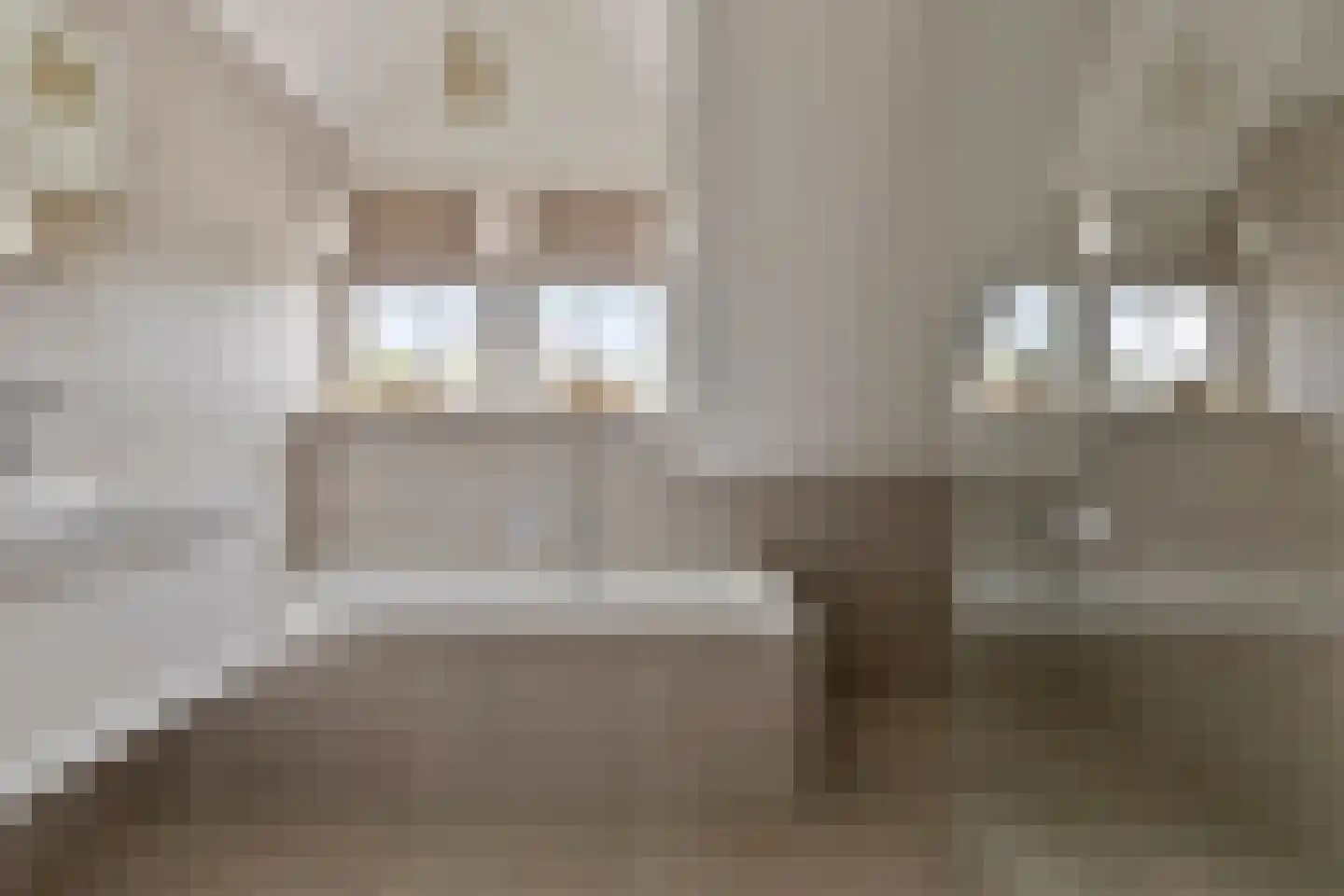 Zevenhuizenbaan 1 Baarle-Nassau thumbnail 32