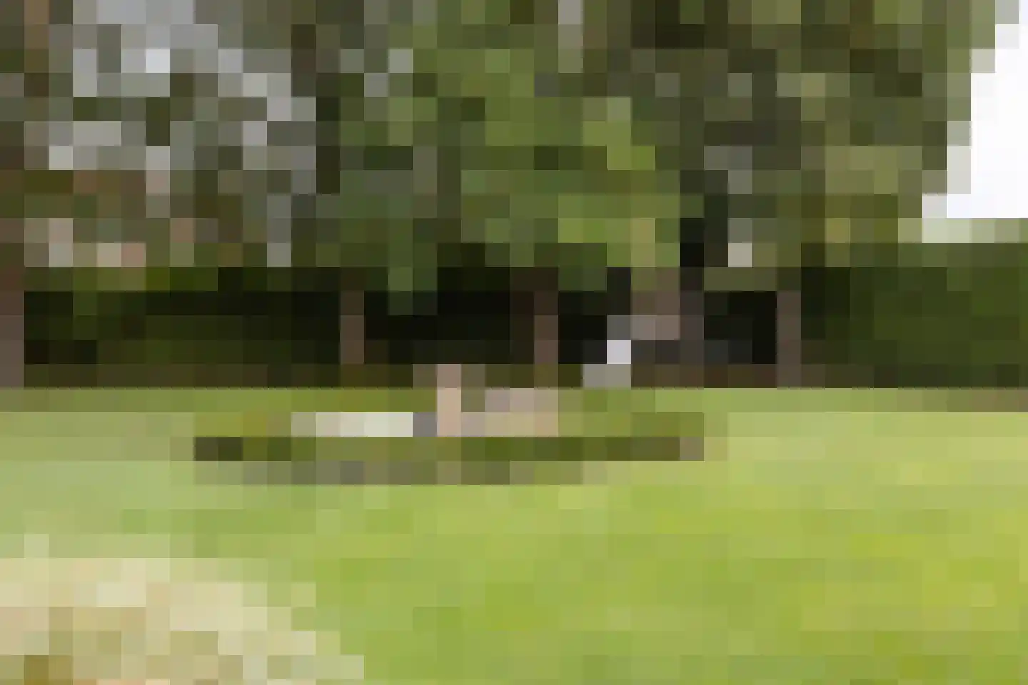 Zevenhuizenbaan 1 Baarle-Nassau thumbnail 43