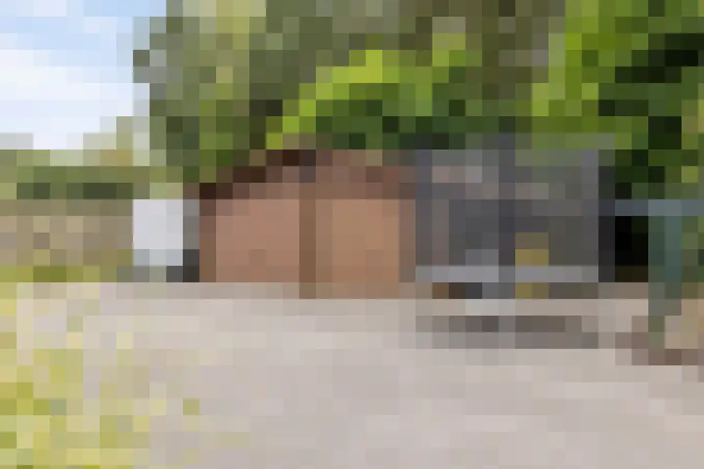 Zevenhuizenbaan 1 Baarle-Nassau thumbnail 48