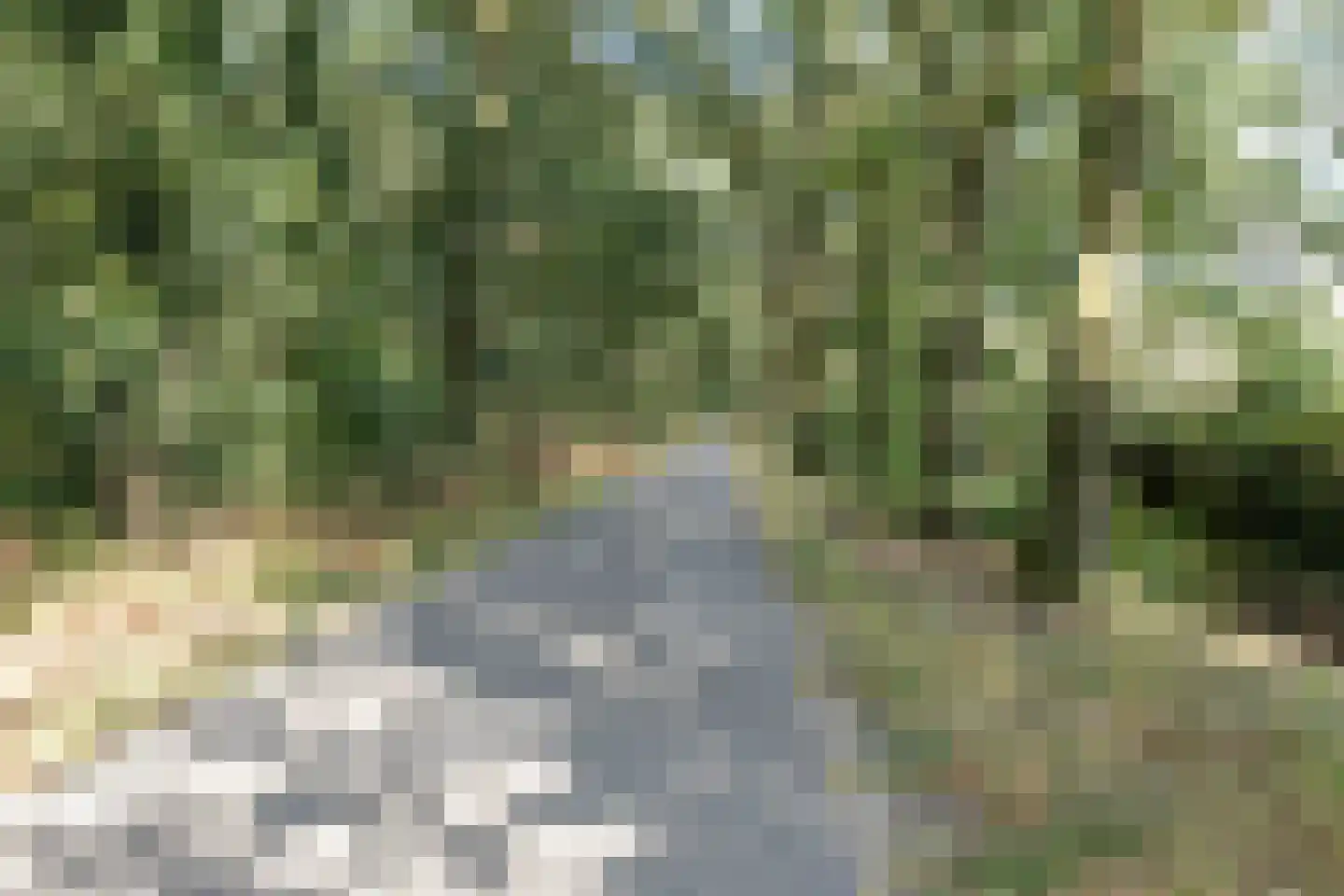Zevenhuizenbaan 1 Baarle-Nassau thumbnail 50