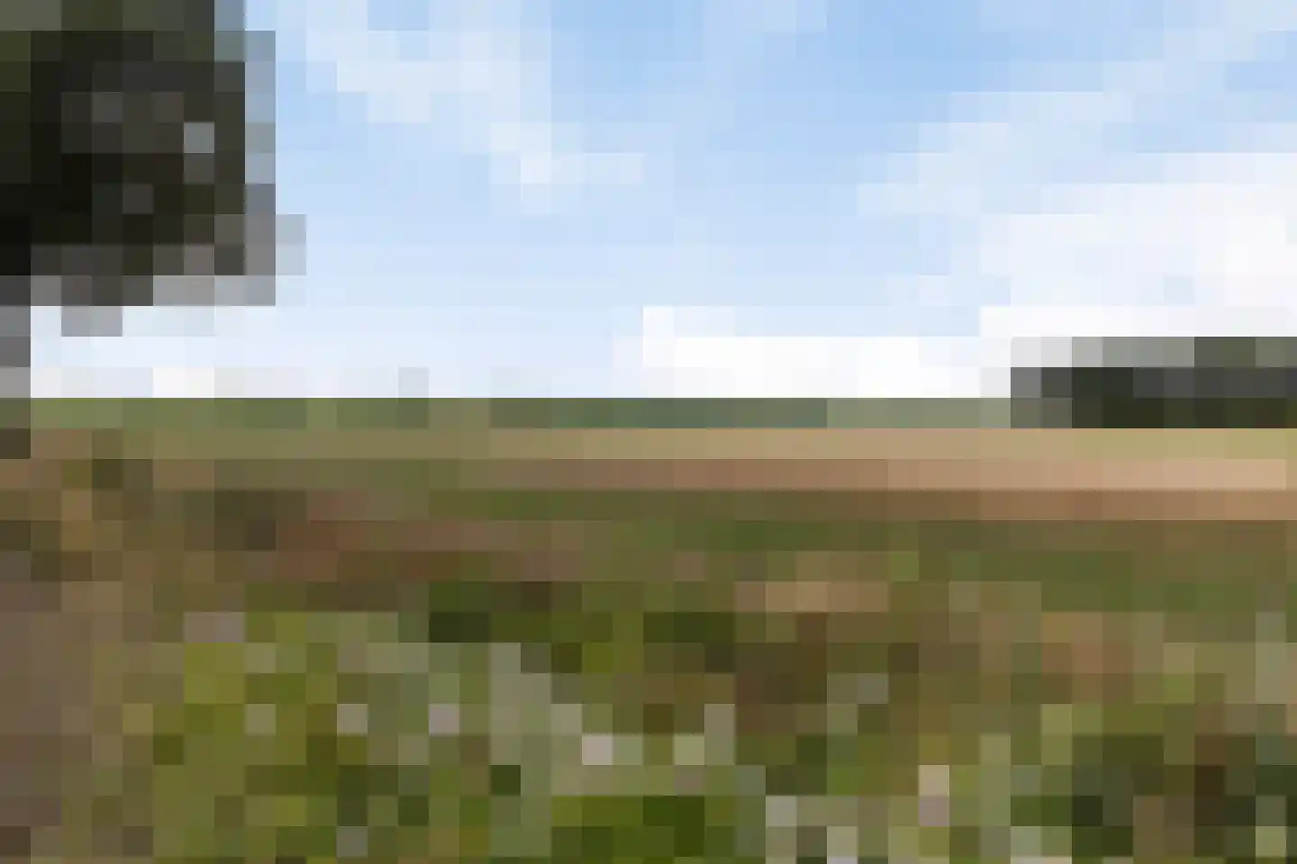 Zevenhuizenbaan 1 Baarle-Nassau thumbnail 51