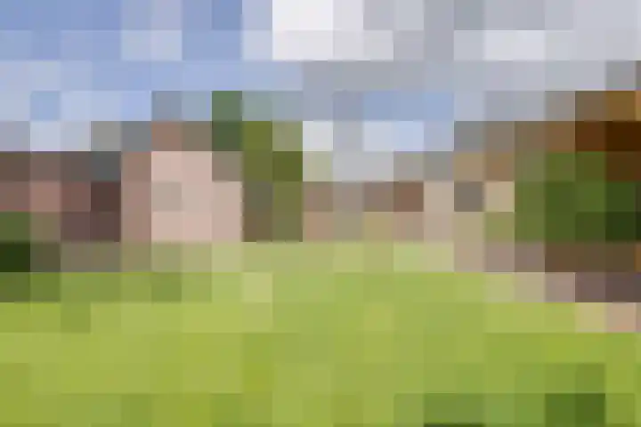 Zevenhuizenseweg 12 Apeldoorn thumbnail 28