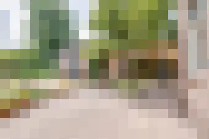 Zevenhuizenseweg 12 Apeldoorn thumbnail 32