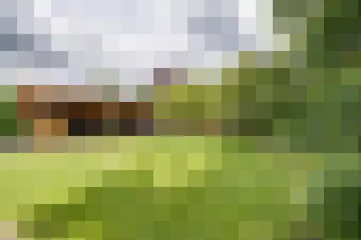 Zevenhuizenseweg 12 Apeldoorn thumbnail 34
