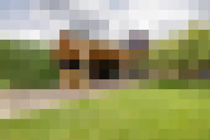 Zevenhuizenseweg 12 Apeldoorn thumbnail 35
