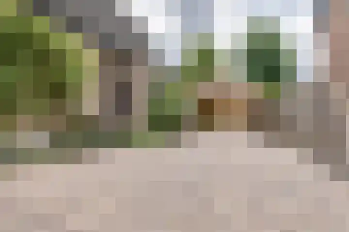 Zevenhuizenseweg 12 Apeldoorn thumbnail 41