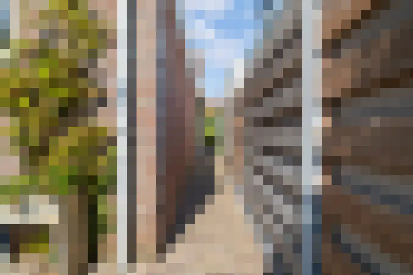 Zevenhuizerlaan 108 Heiloo thumbnail 45
