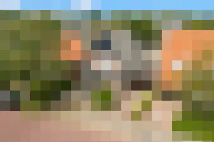 Zevenhuizerlaan 17 Heiloo thumbnail 63