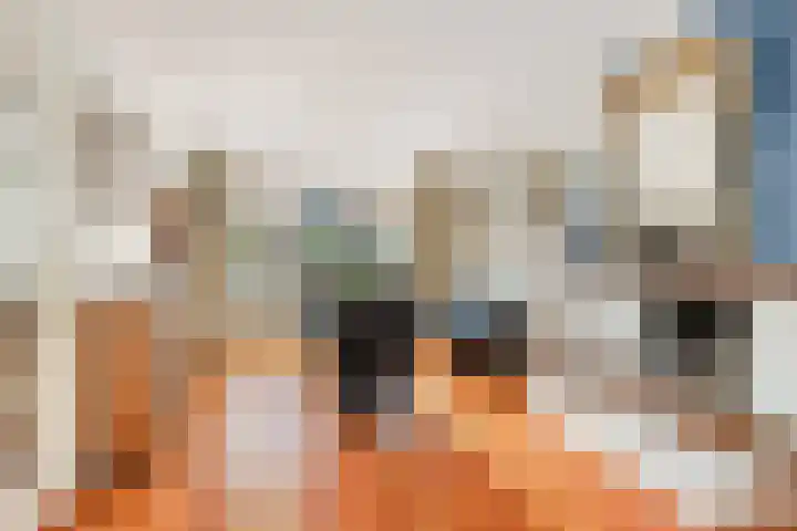 Zevenhuizerlaan 17 Heiloo thumbnail 7
