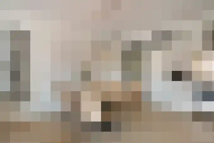 Zevenhuizerlaan 2 c Heiloo thumbnail 22