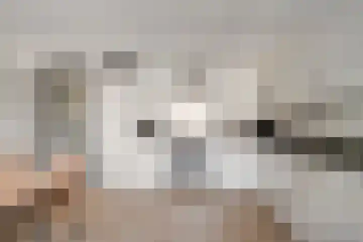 Zevenhuizerlaan 2 c Heiloo thumbnail 23