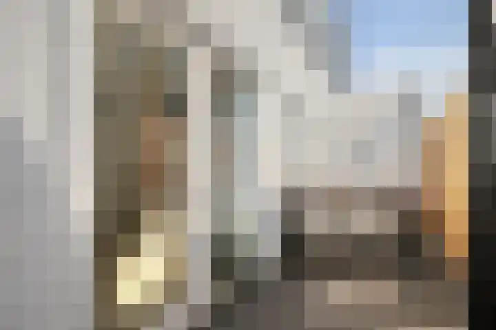 Zevenhuizerlaan 2 c Heiloo thumbnail 30