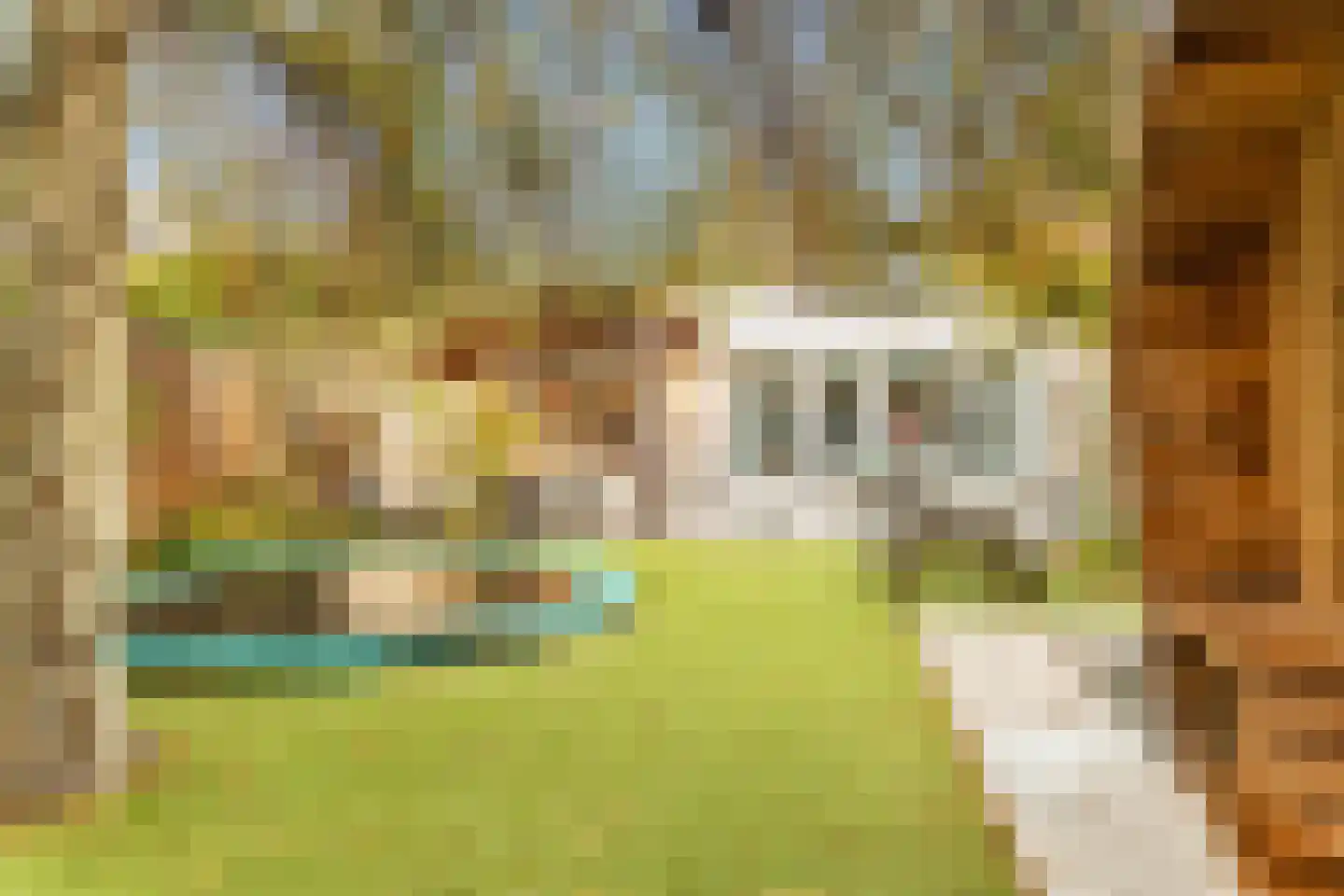 Zevenhuizerlaan 36 Heiloo thumbnail 33