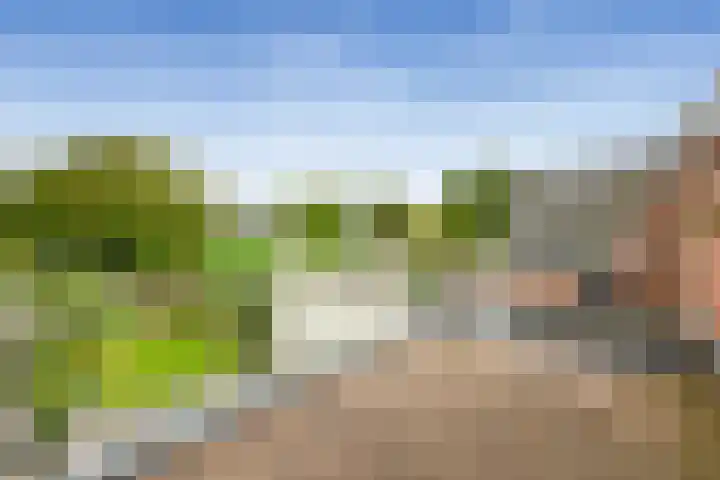 Zevenhuizerlaan 51 Heiloo thumbnail 17