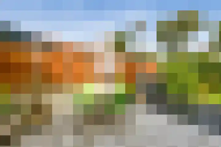 Zevenhuizerlaan 51 Heiloo thumbnail 26