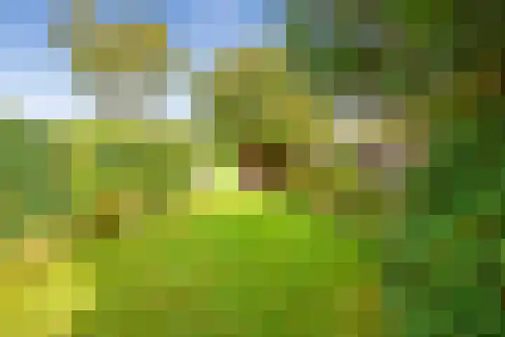 Zevenhuizerlaan 51 Heiloo thumbnail 27