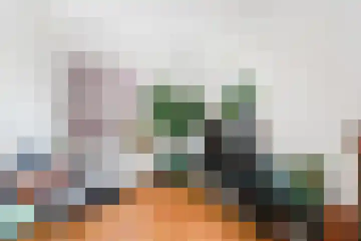 Zevenhuizerlaan 51 Heiloo thumbnail 7