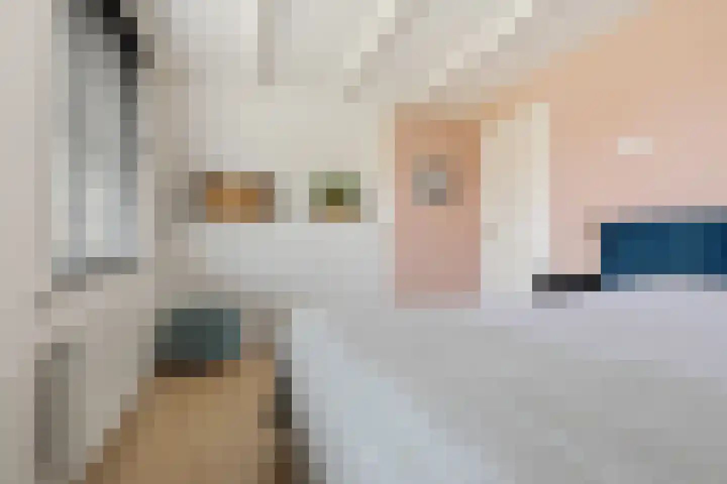Zevenhuizerlaan 74 Heiloo thumbnail 17