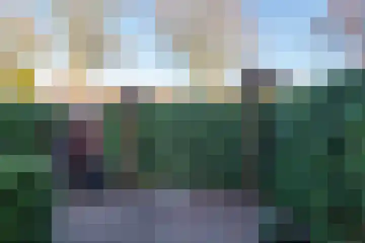 Zevenhuizerlaan 81 Heiloo thumbnail 29
