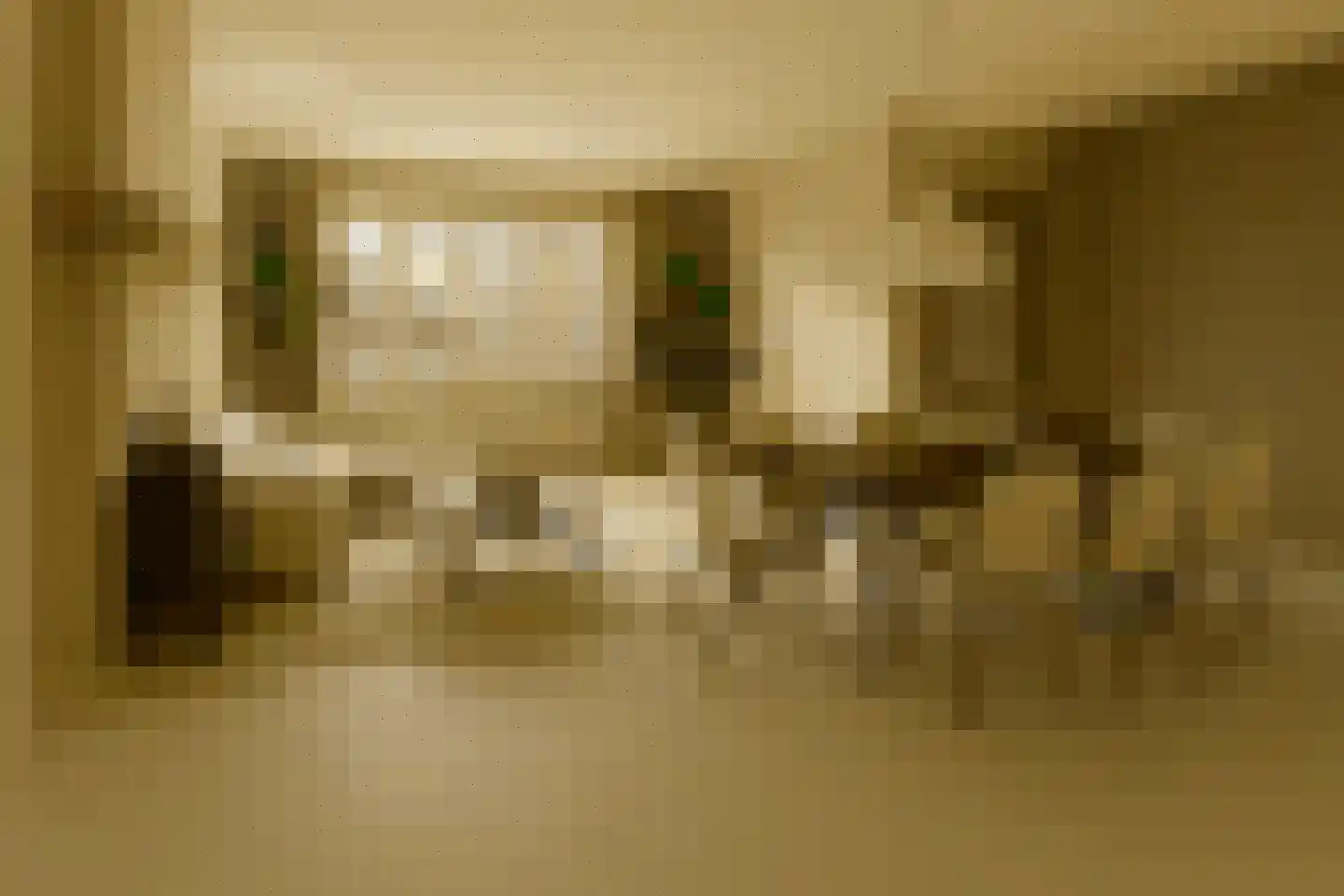 Zevenhuizerlaan 81 Heiloo thumbnail 4