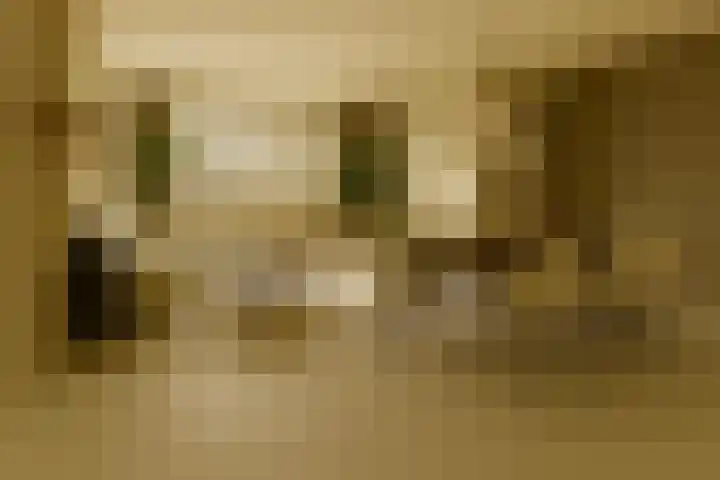 Zevenhuizerlaan 81 Heiloo thumbnail 4