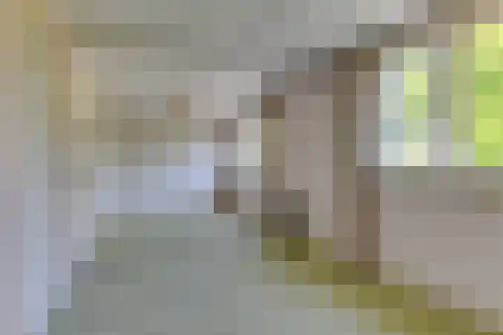 Zevenhuizerlaan 91 Heiloo thumbnail 27