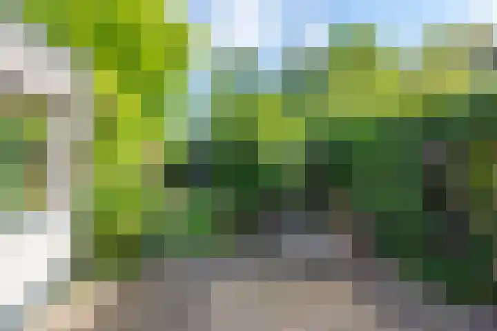 Zevenhuizerlaan 91 Heiloo thumbnail 33