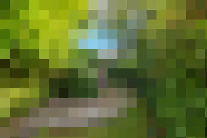 Zevenhuizerlaan 91 Heiloo thumbnail 36