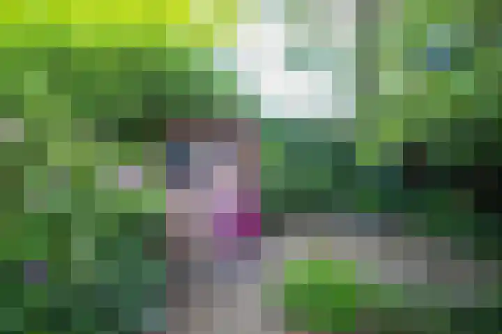Zevenhuizerlaan 91 Heiloo thumbnail 37