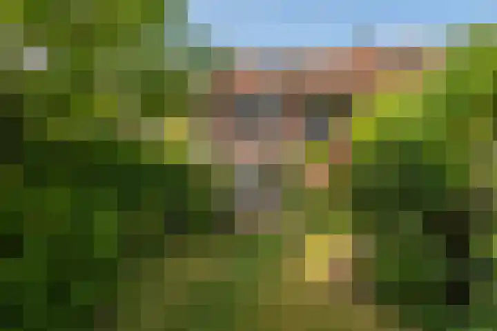 Zevenhuizerlaan 91 Heiloo thumbnail 39