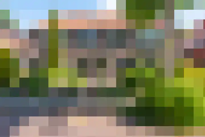 Zevenhuizerlaan 91 Heiloo thumbnail 4