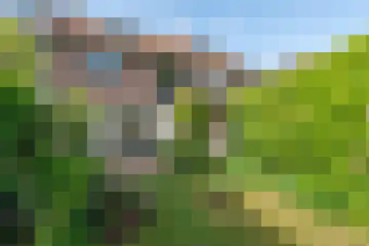 Zevenhuizerlaan 91 Heiloo thumbnail 40