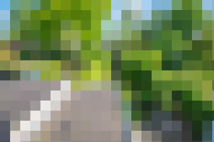 Zevenhuizerlaan 91 Heiloo thumbnail 42