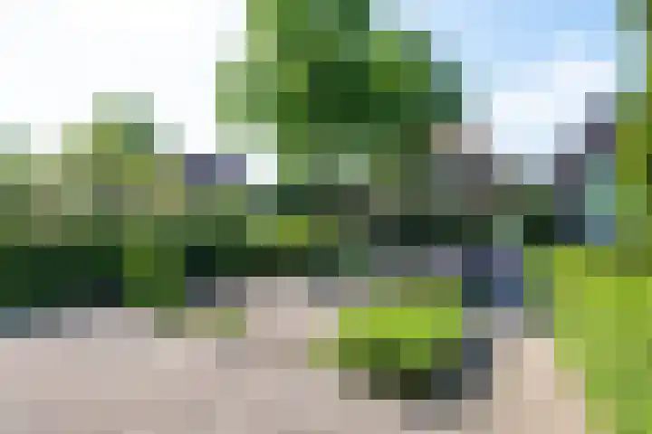 Zevenhuizerlaan 91 Heiloo thumbnail 46