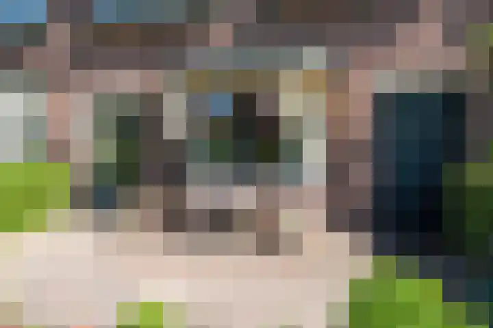 Zevenhuizerlaan 91 Heiloo thumbnail 5