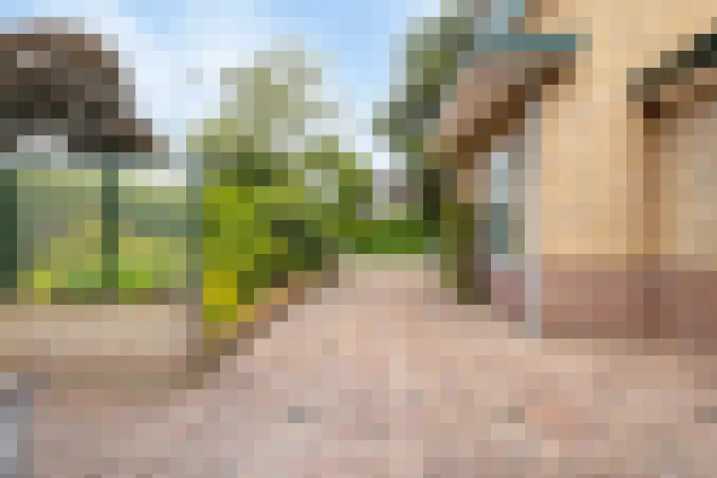 Zevenhuizerstraat 134 Hoogland thumbnail 43