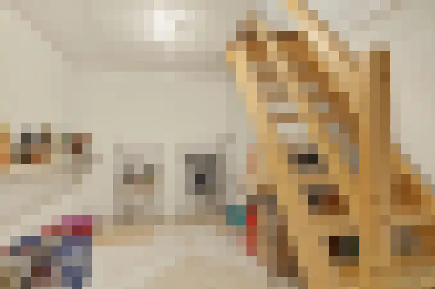 Zevenhuizerstraat 149 Hoogland thumbnail 24