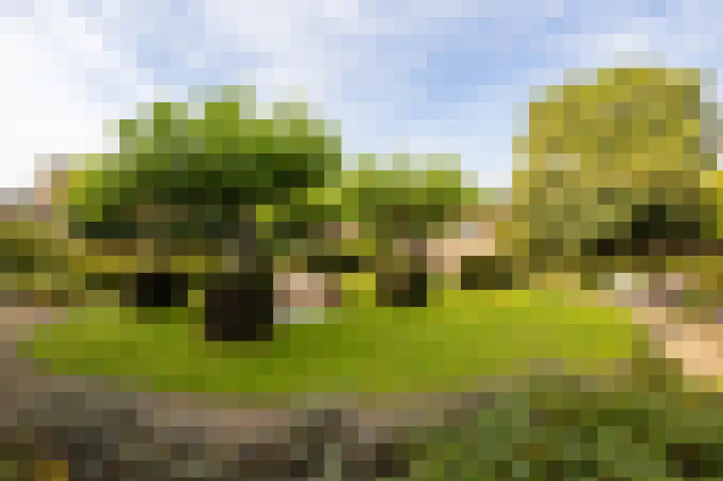 Zevenhuizerstraat 149 Hoogland thumbnail 43