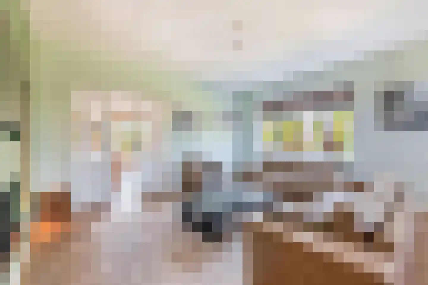 Zevenhuizerstraat 158 Bunschoten-Spakenburg thumbnail 6