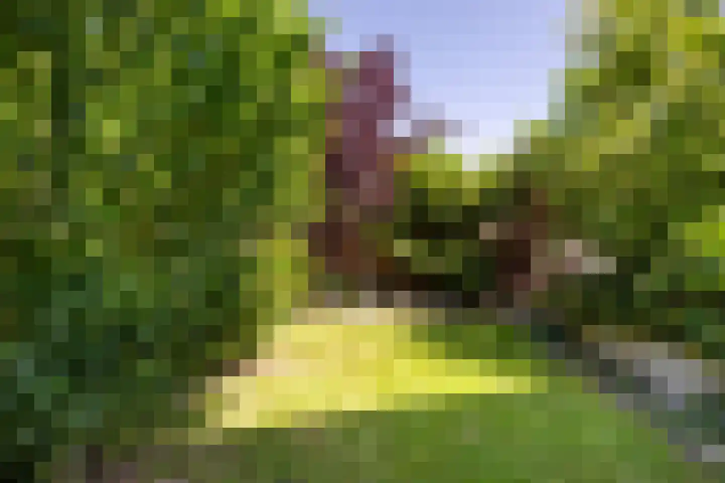 Zevenhuizerstraat 4 Hoogland thumbnail 38