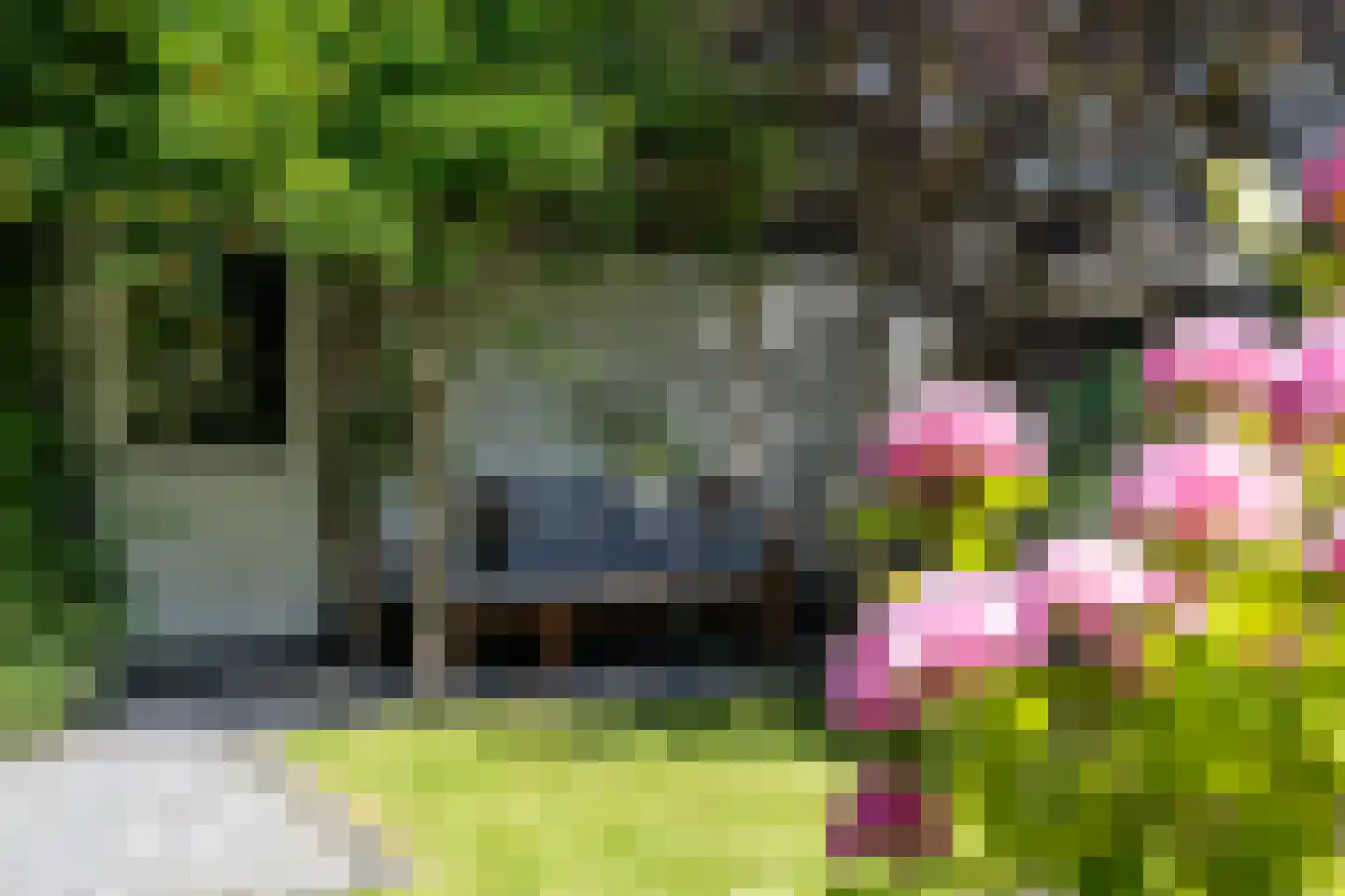 Zevenhuizerstraat 4 Hoogland thumbnail 39