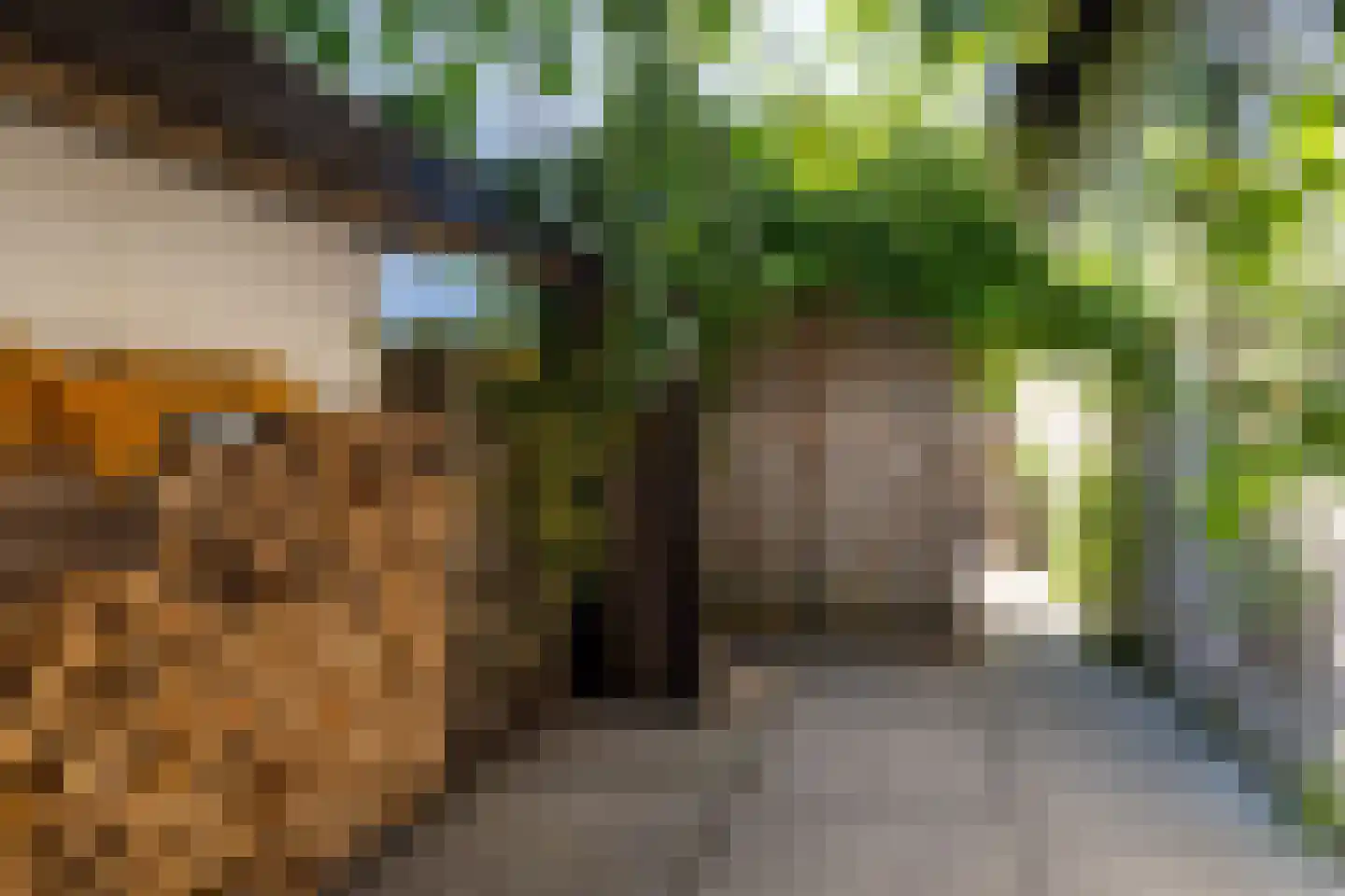 Zevenhuizerstraat 4 Hoogland thumbnail 42