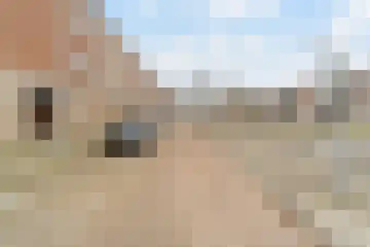 Zevenkampse Ring 266 Rotterdam thumbnail 23