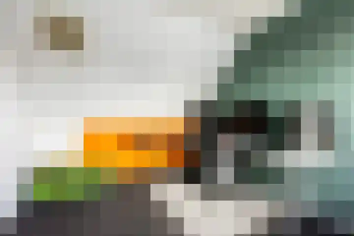 Zevenkampse Ring 275 Rotterdam thumbnail 33