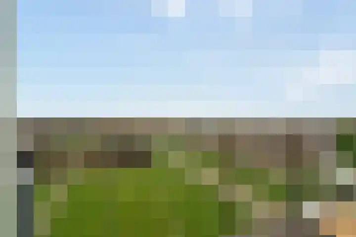 Zevenkampse Ring 388 Rotterdam thumbnail 16