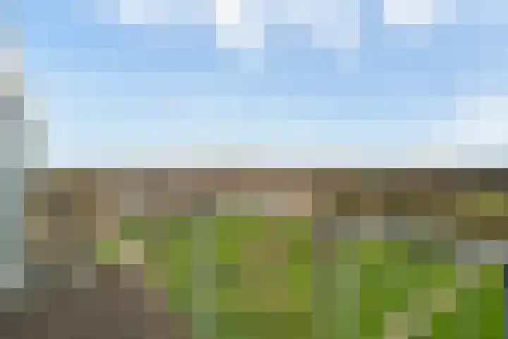 Zevenkampse Ring 388 Rotterdam thumbnail 19