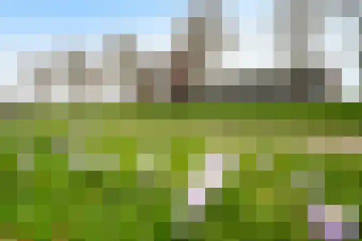 Zevenkampse Ring 388 Rotterdam thumbnail 5