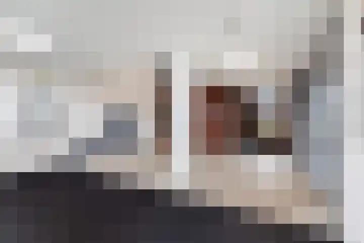 Zevenkampse Ring 388 Rotterdam thumbnail 8